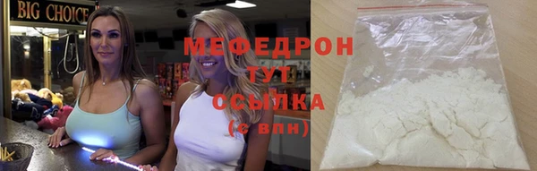 молекула духа Вяземский